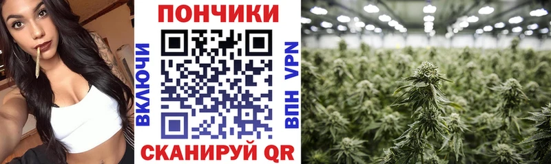 Купить закладку Арсеньев АМФ Меф мяу мяу Alpha PVP ЭКСТАЗИ Cocaine Канабис