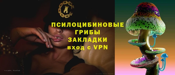 МДПВ Алзамай