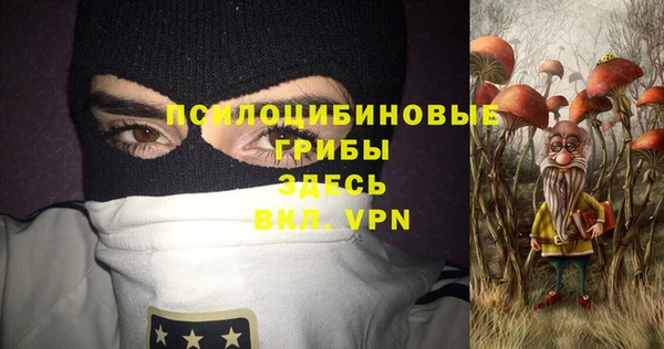 МДПВ Алзамай