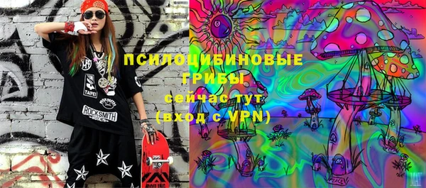 ГАЛЛЮЦИНОГЕННЫЕ ГРИБЫ Алексеевка