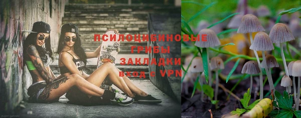 МДПВ Апатиты