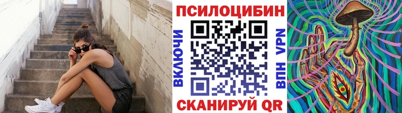 Галлюциногенные грибы Psilocybe  закладки  Арсеньев 